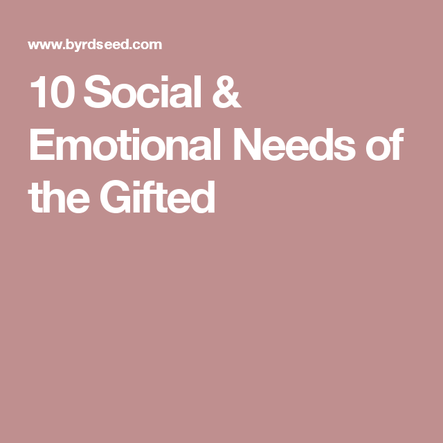 Unpacking the Importance of Addressing Social and Emotional Needs of Gifted&nbsp;Students