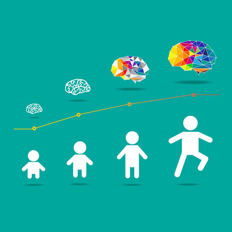 Alternative Schooling and Education Models Promote Healthy Brain Development in&nbsp;Children