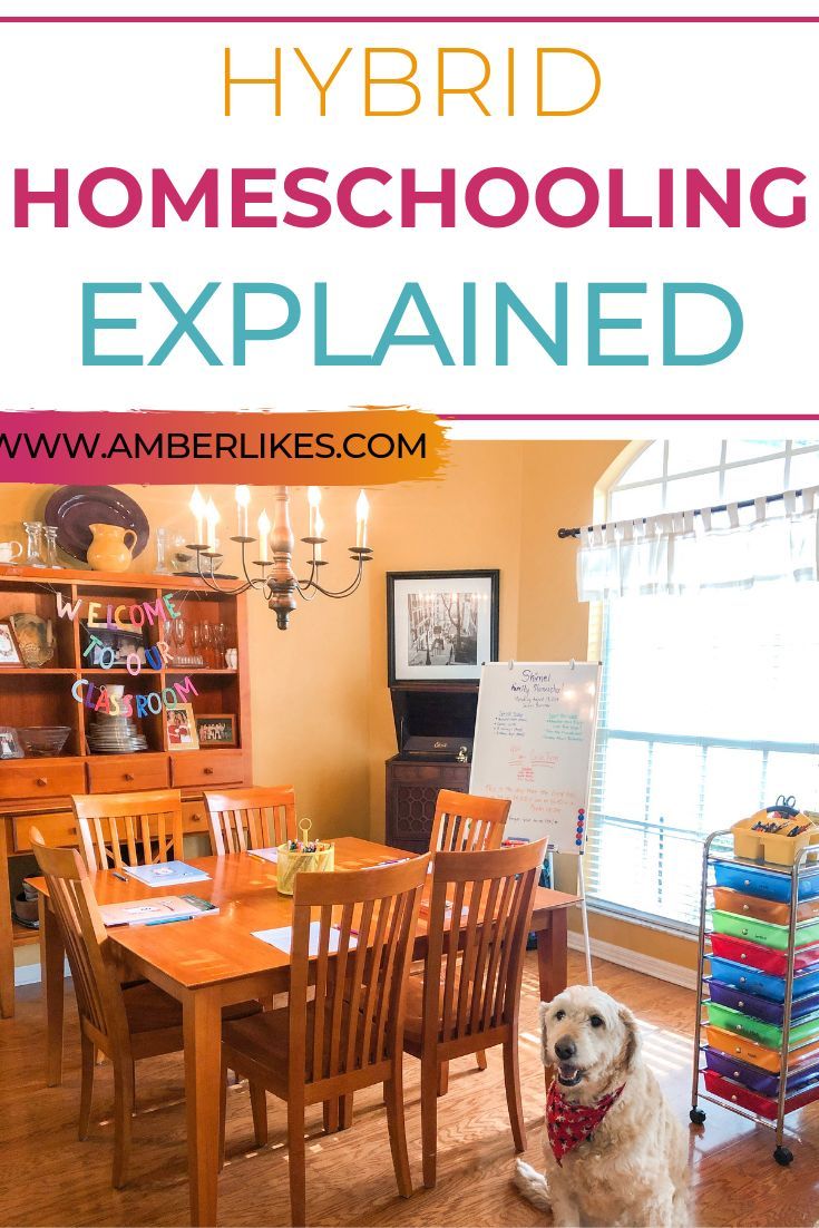 Why Project-Based Learning Is the Key to Successful Hybrid&nbsp;Homeschooling