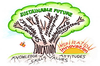 Why Environmental Sustainability Education Should Be Incorporated Into All Aspects of&nbsp;Schooling