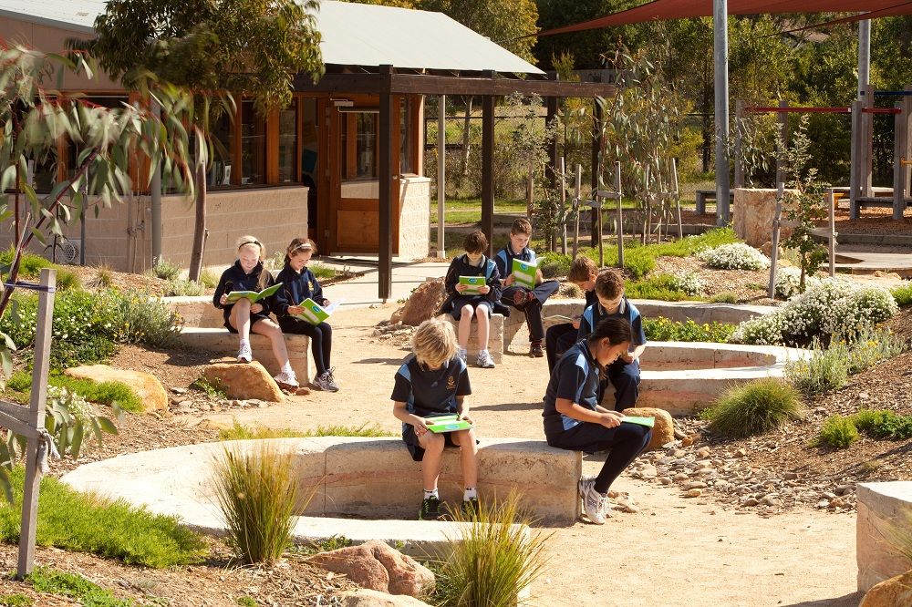 “Beyond the Classroom: Why Outdoor Learning is Essential for Children’s Success”