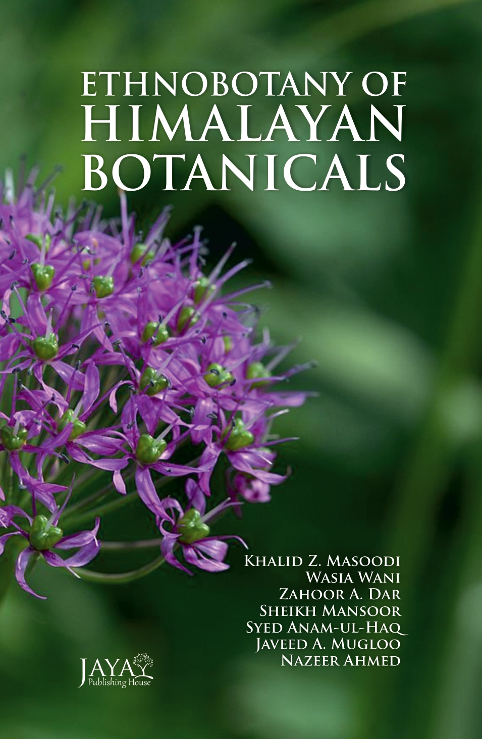 Exploring the Intersection of Ethnobotany and Herbalism: A Fascinating Panel&nbsp;Discussion