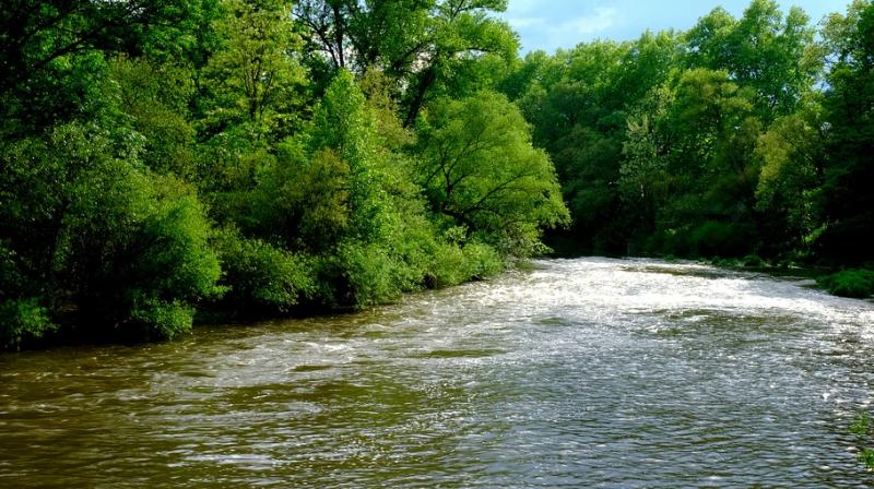 Why Rivers Are Essential to Our World: Exploring Their Importance