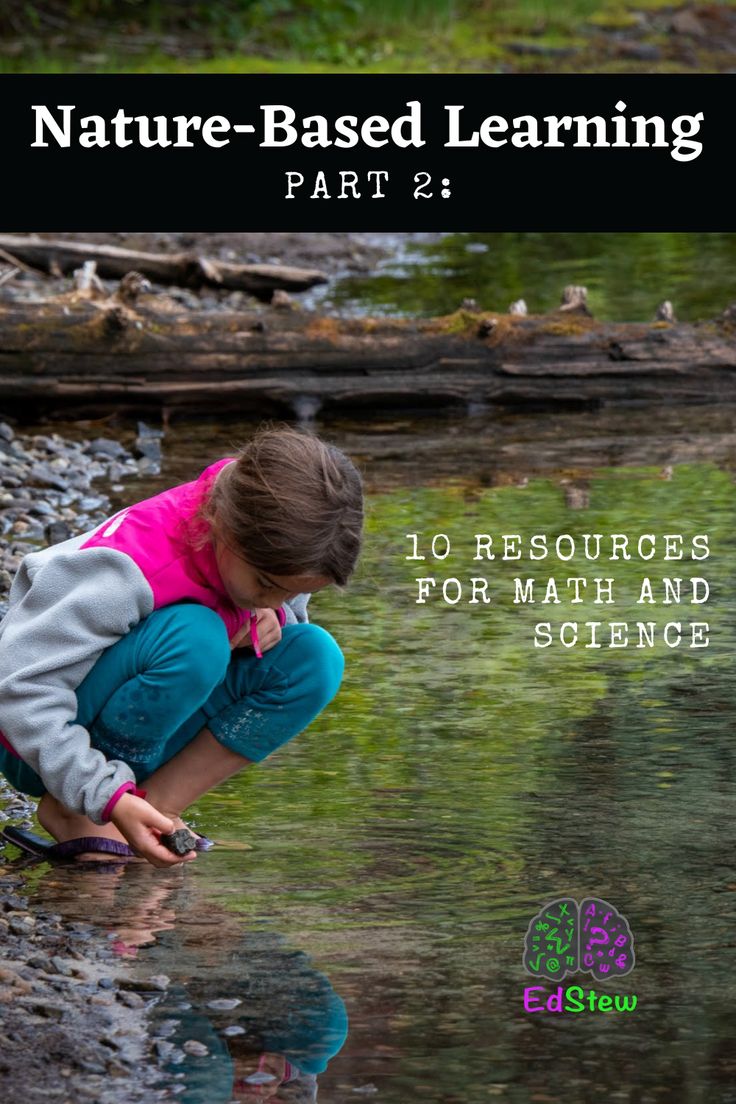 “Nature-Based Learning: The Innovative Approach to Education Fostering Environmental Stewardship”