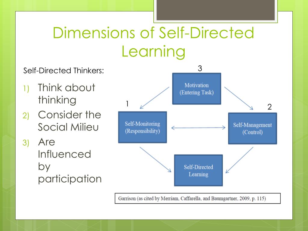Unlocking the Power of Self-Directed Learning: A Guide to Alternative&nbsp;Education