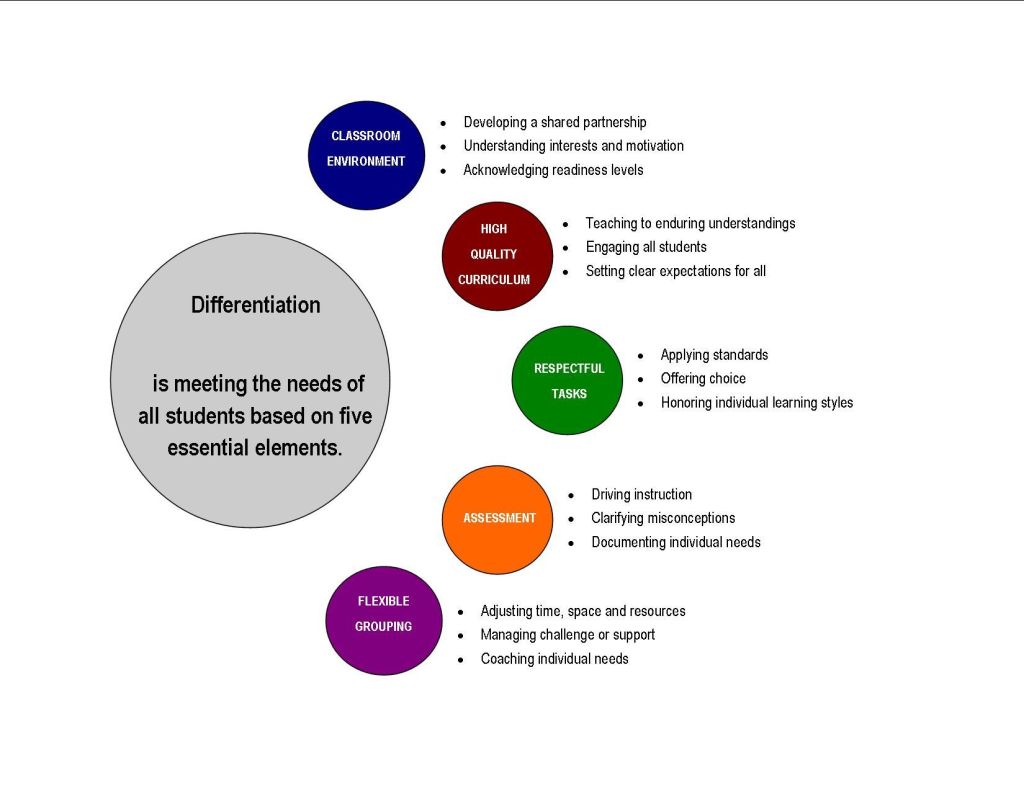 “Tailored Teaching: How Differentiated Instruction is Revolutionizing Education”
