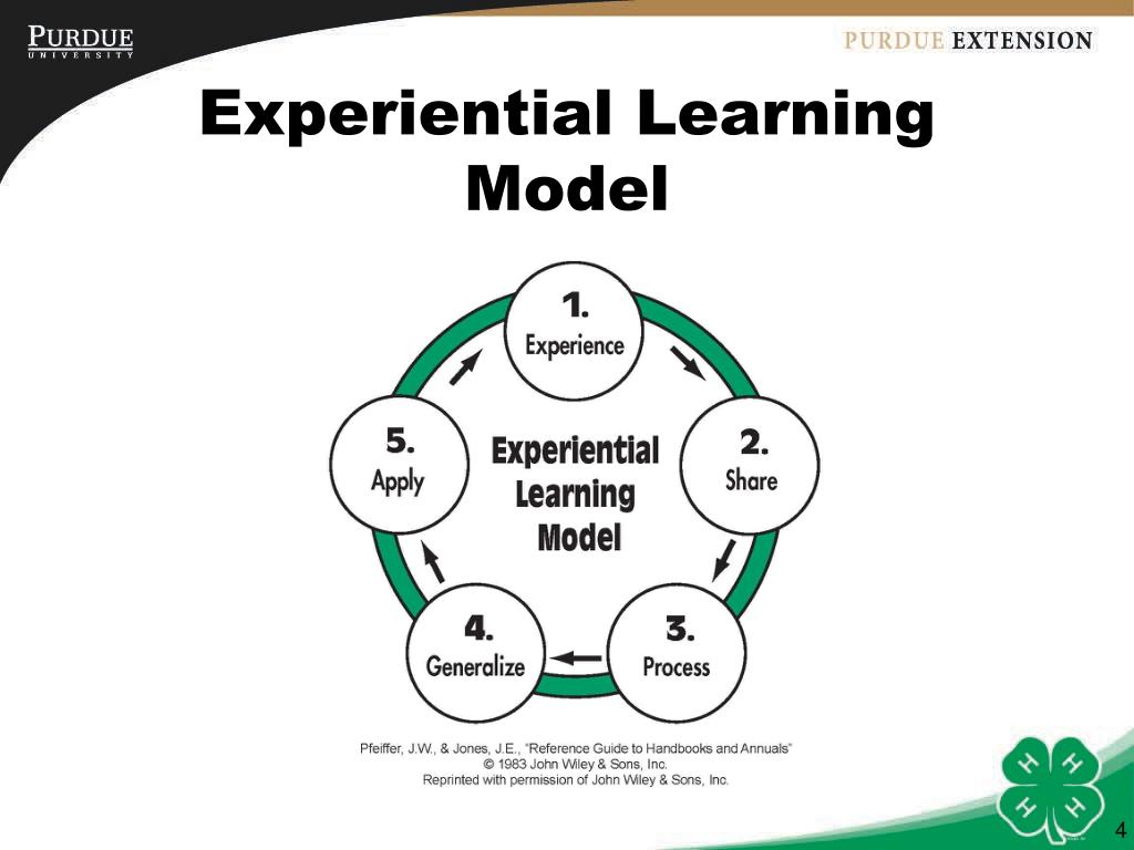 “Experience is the Best Teacher: The Power of Experiential Learning in Education”