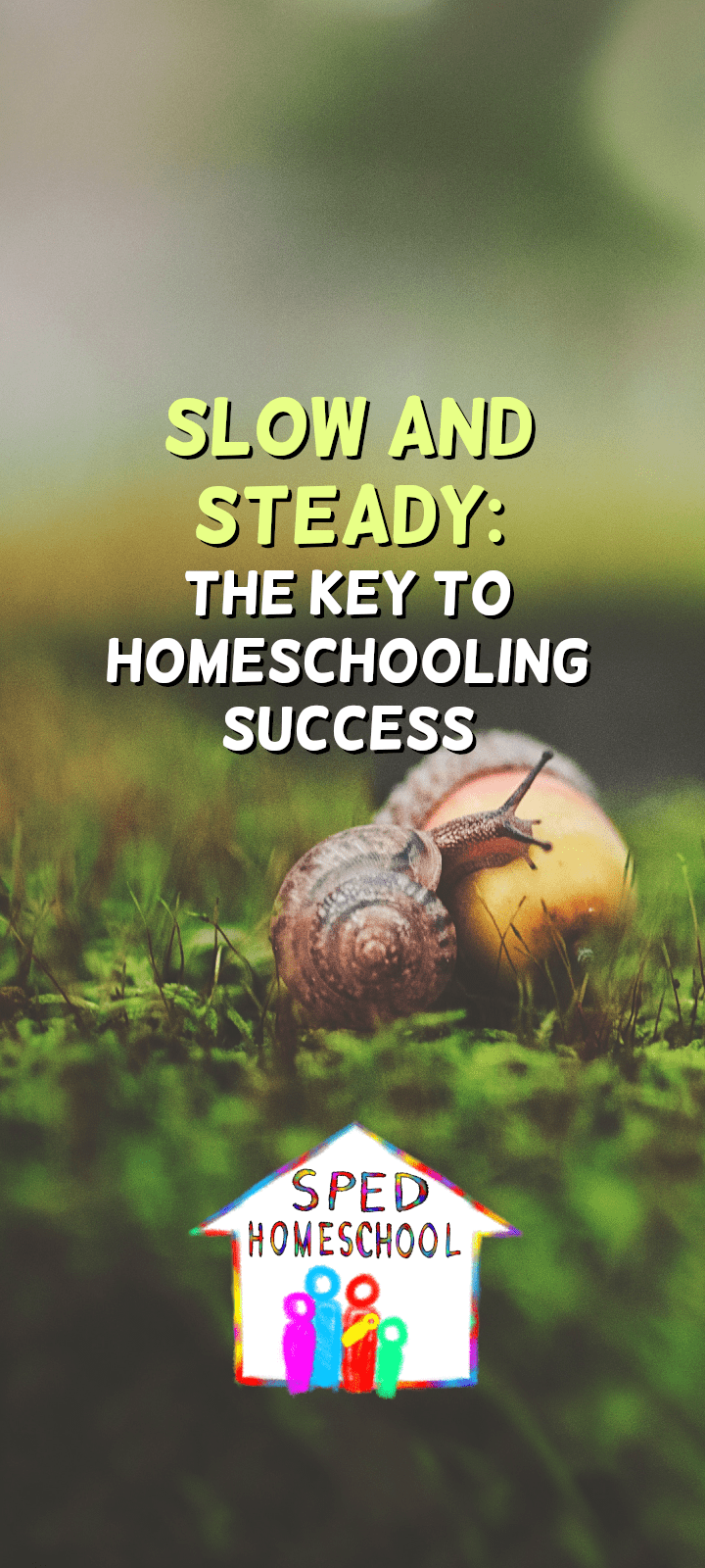 Serena Williams: A Homeschooling Success&nbsp;Story