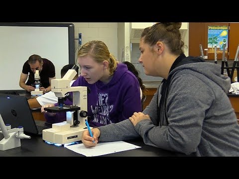 Breaking Barriers: Early College Programs for Underrepresented Populations Provide Affordable Access to Higher&nbsp;Education