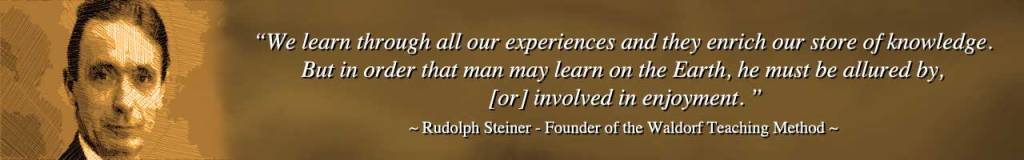 Interview with a Waldorf Education Expert: A Holistic Approach to Learning and&nbsp;Development.