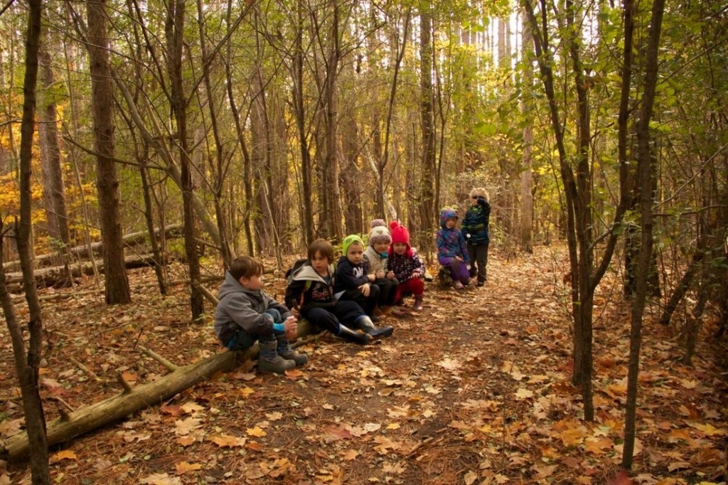 Forest Kindergarten: The Unique Alternative to Traditional&nbsp;Education