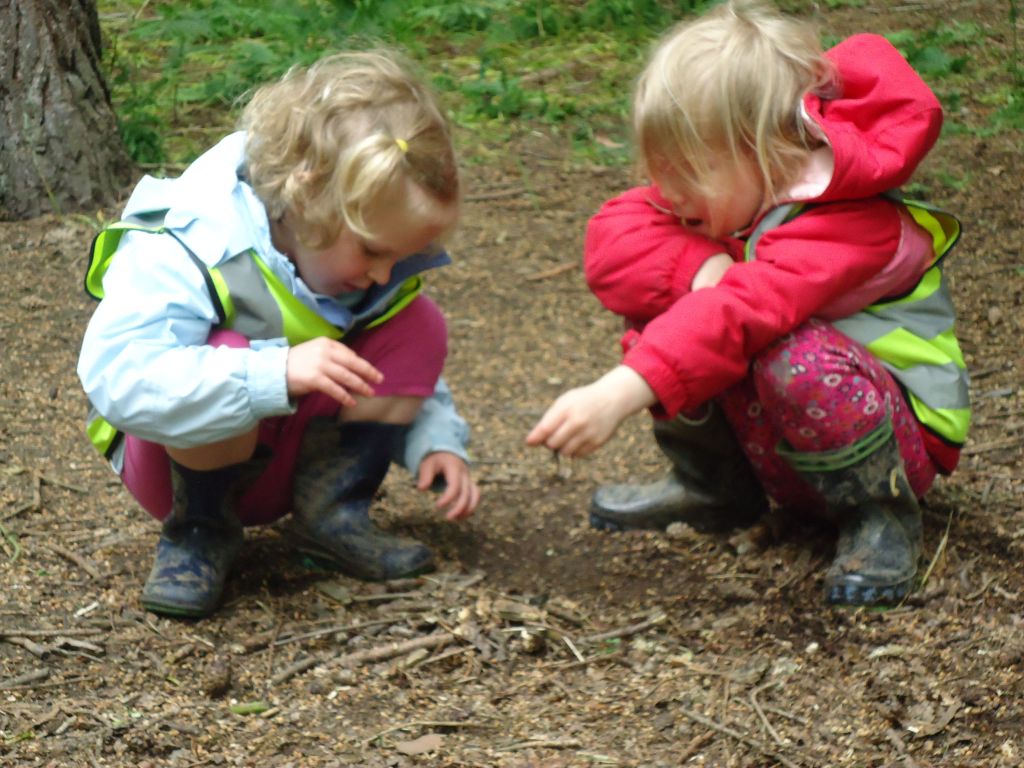 Exploring the Great Outdoors: The Rise of Forest Preschools for Young&nbsp;Learners
