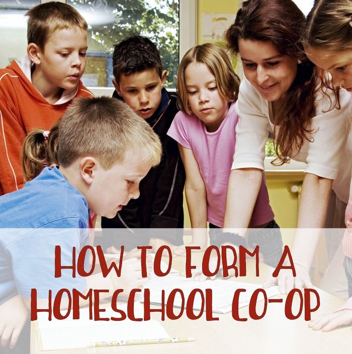 Co-Op Homeschooling Groups: Enhancing the Homeschooling&nbsp;Experience