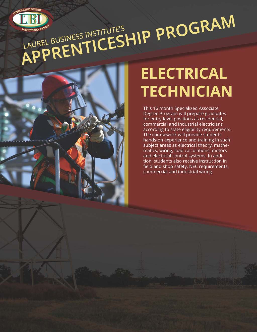 “Apprenticeship Programs: A Viable Pathway to Practical Skills in Non-Traditional Industries”