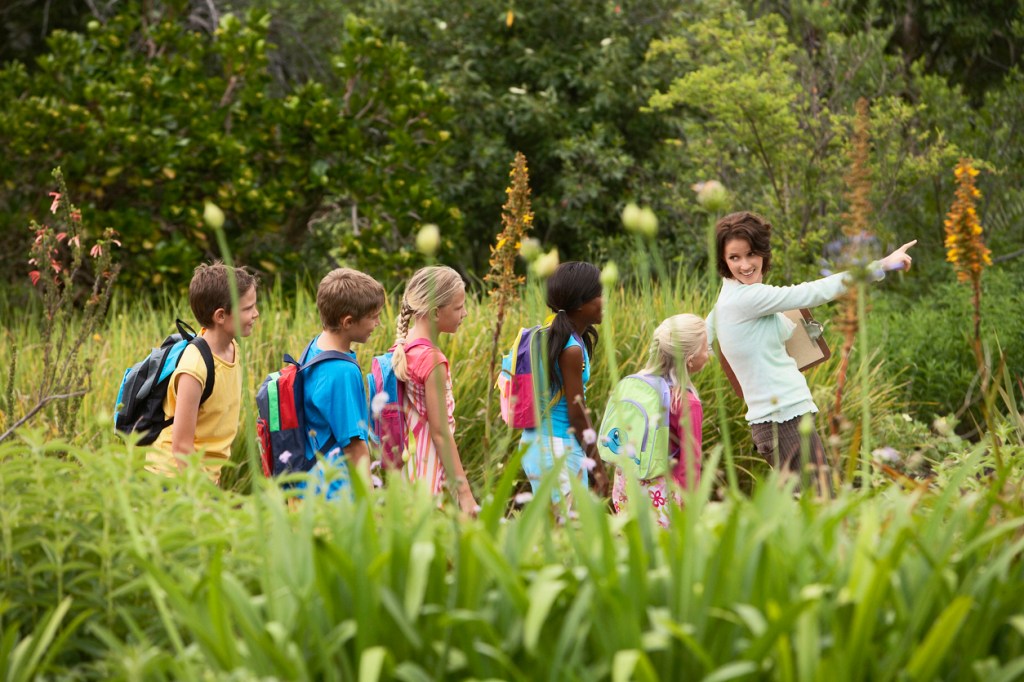 “Teaching for Tomorrow: The Urgent Need for Environmental Education in Today’s&nbsp;World”