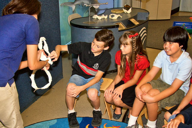 Dive into Learning: Aquariums as a Resource for Alternative&nbsp;Education