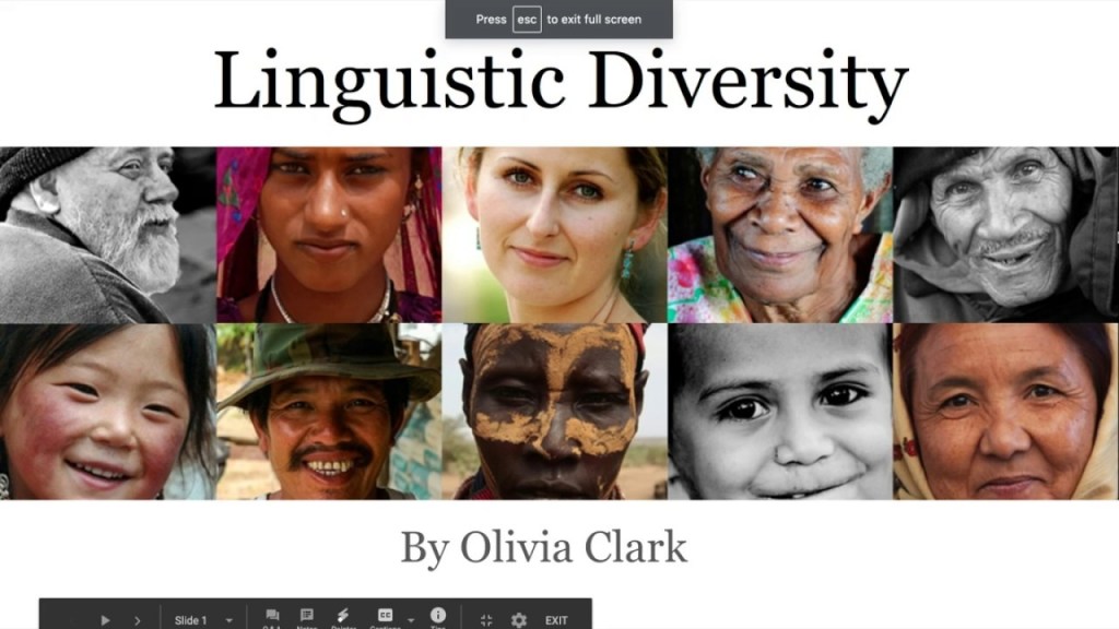 Embracing Linguistic Diversity: Promoting Inclusion and Equity in Schools