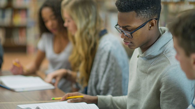 Youth Apprenticeships: A Pathway to Success