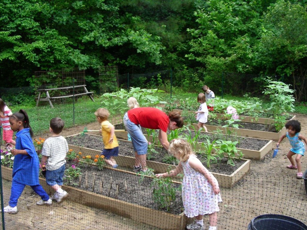 “Growing Minds: How Gardening and Farming Enhance Alternative Education”