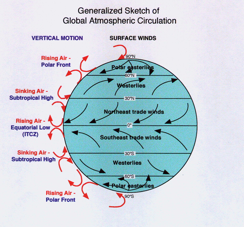 Unveiling the Mysteries of Weather: The Journey of a Meteorology Enthusiast