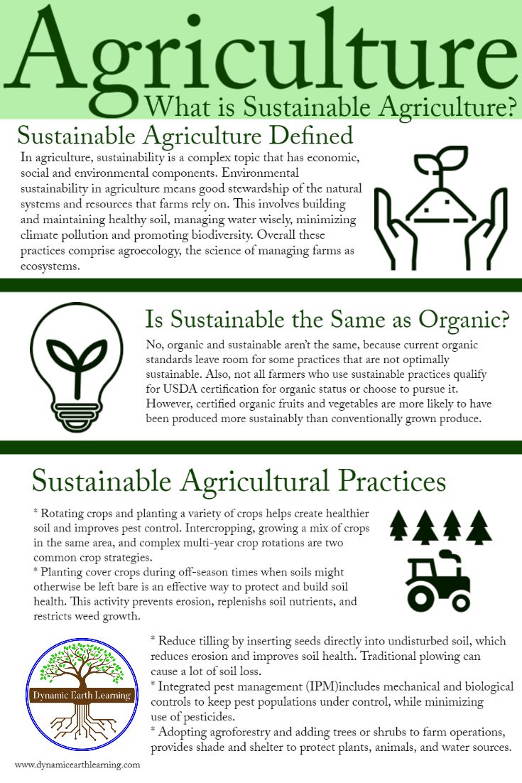 Sustainable Agriculture: Cultivating Earth and Educating&nbsp;Generations