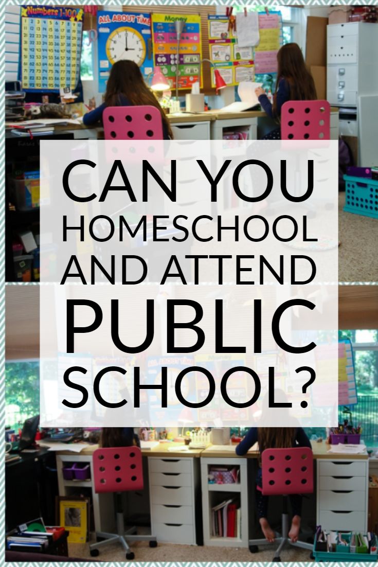 “Discover the Best Curriculum Options for Hybrid Homeschooling&nbsp;Success”