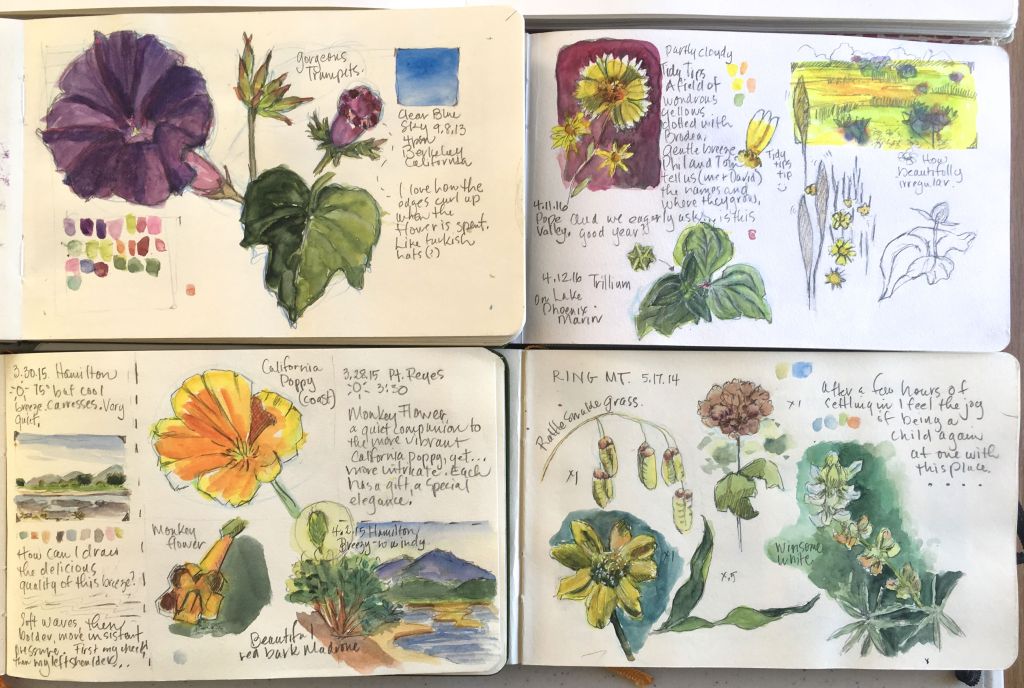 “Nature Journaling and Sketching: Unleashing Creativity in the Great Outdoors”
