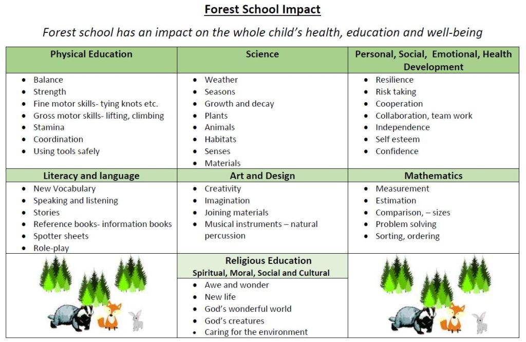 “Unleashing Nature’s Classroom: Exploring the Forest School Curriculum for Holistic Development”