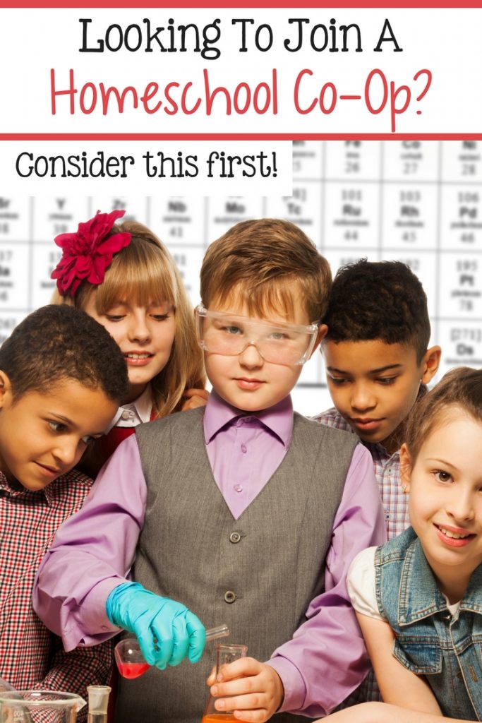 Homeschooling Co-ops: Enhancing Education through&nbsp;Collaboration