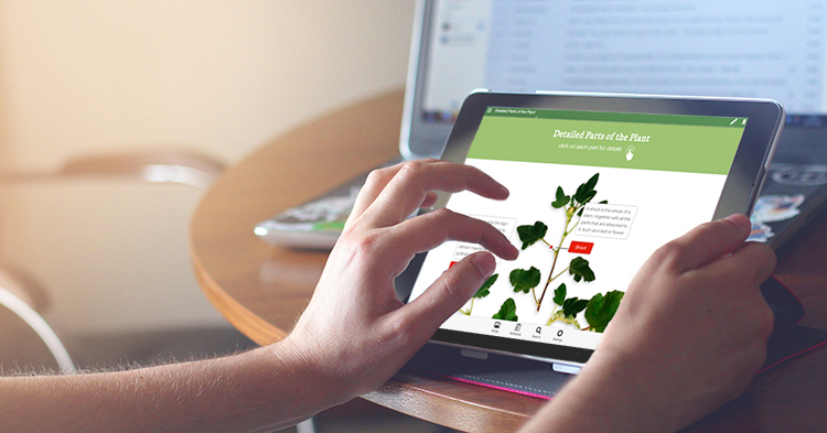 Interactive Textbooks: Revolutionizing&nbsp;Education