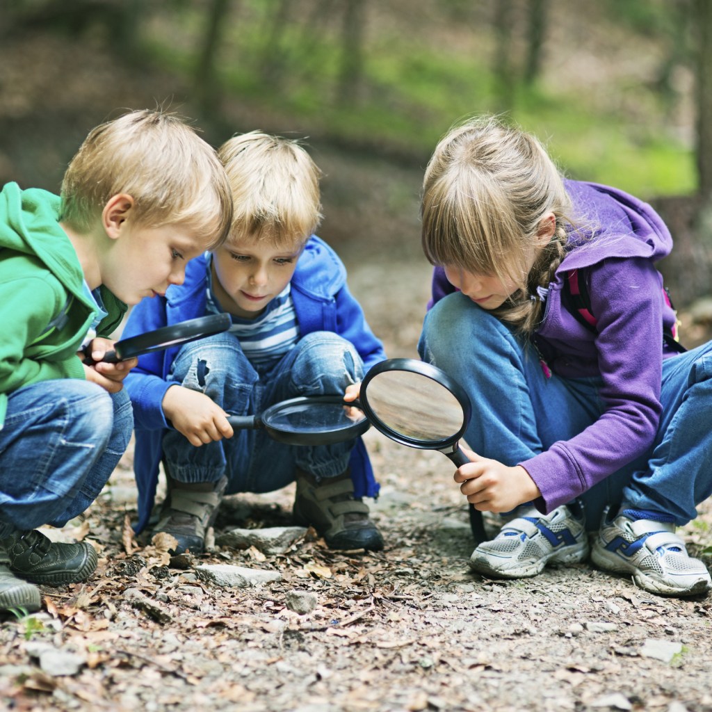 “Embrace the Outdoors: Outdoor Education Inspires Academic Growth, Teamwork, and Personal Development”