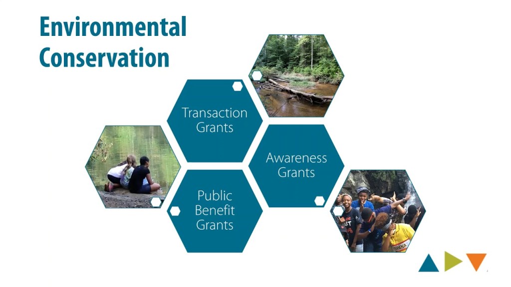 Fostering a Love for Nature and Sustainability: Environmental Conservation Unit Studies in Alternative Education