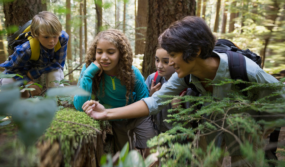 “Nature-Based Education: Cultivating Curiosity and Connection Through Outdoor&nbsp;Learning”
