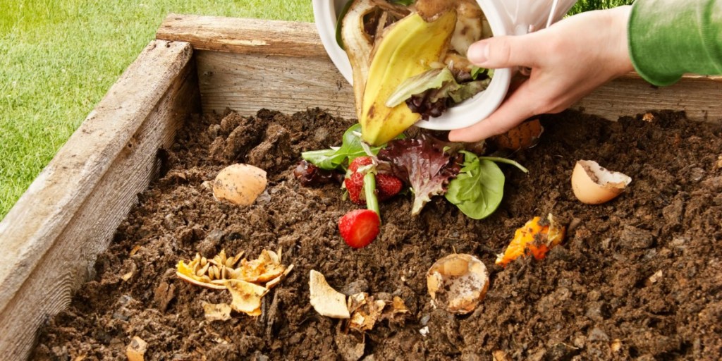 “Composting in Cramped Quarters: Sustainable Solutions for Small&nbsp;Spaces”