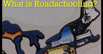 Roadschooling: A Unique Journey for Special Needs Families