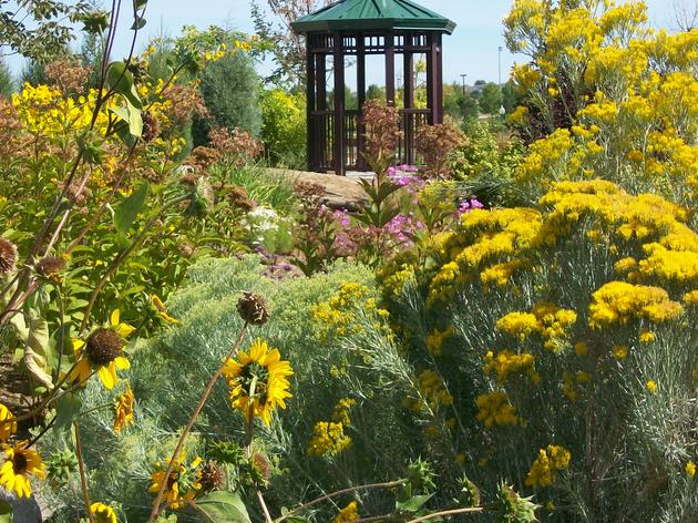 Creating Sustainable Urban Wildlife Habitats and Corridors: Inspiring Examples from Around the&nbsp;World