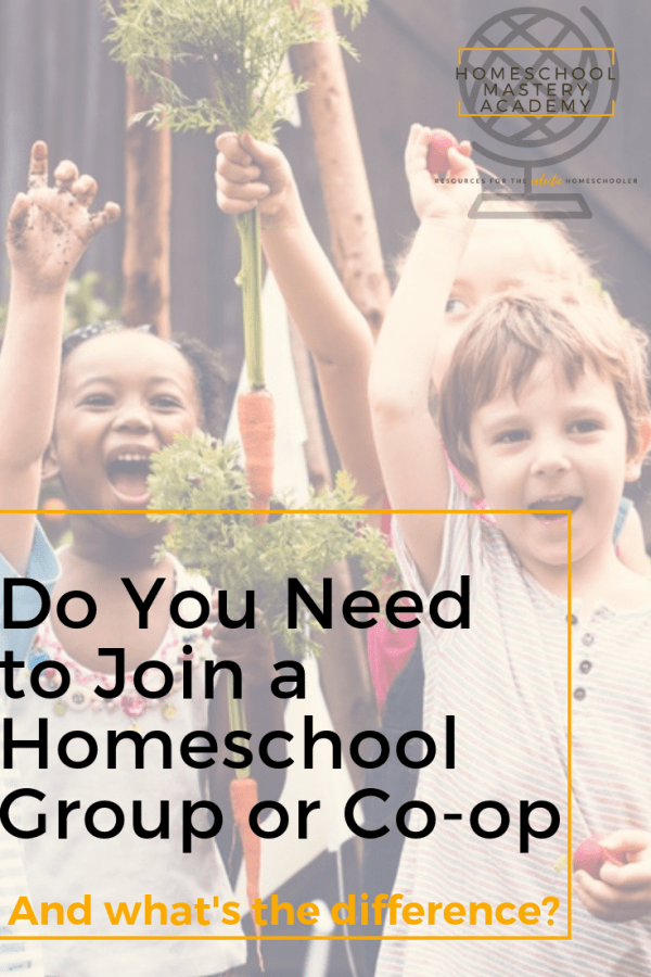 “Discovering Support and Connection: Uncovering Alternative Schooling Support Groups and Co-ops”