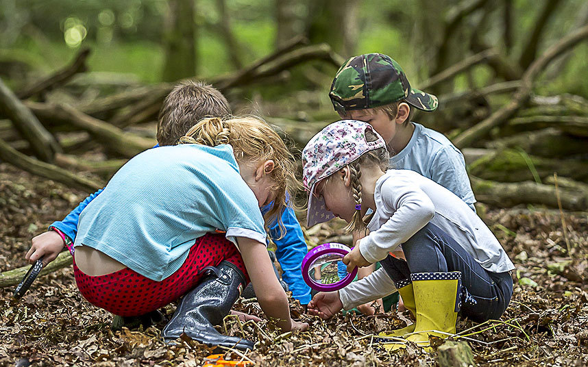 Embracing Nature for Holistic Education: The Rise of Forest&nbsp;Schools