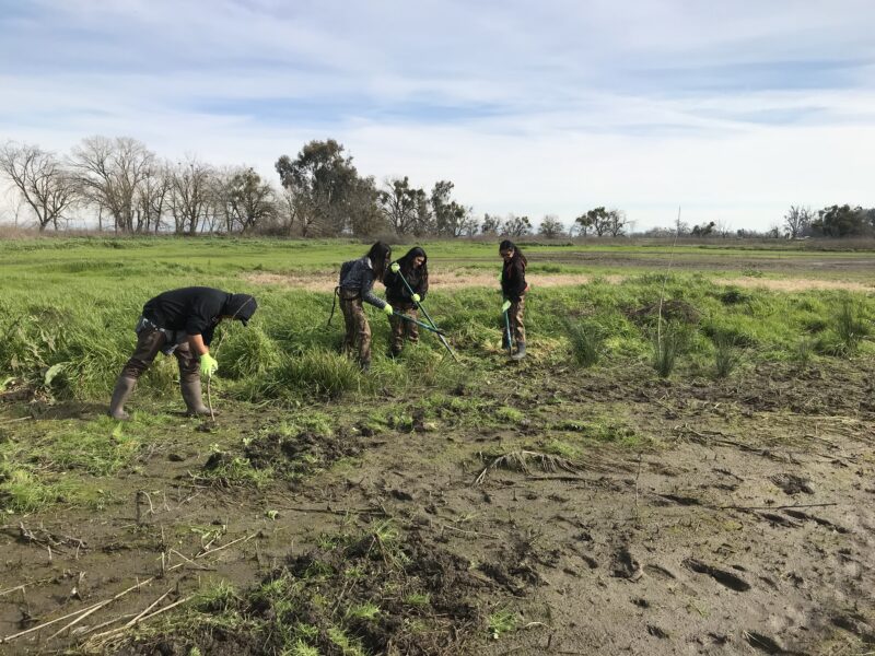 “Grasslands: Cultivating Holistic Learning, Empowerment, and Community Engagement in Education”