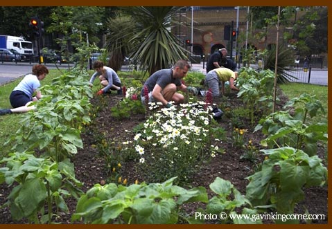 “Unleash Your Inner Green Activist: Join the Guerrilla Gardening Movement Today!”