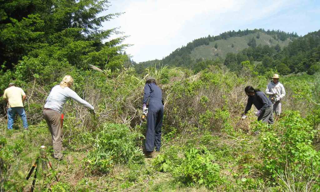 “Indigenous Knowledge: Paving the Path to a Sustainable Future through Land Stewardship”