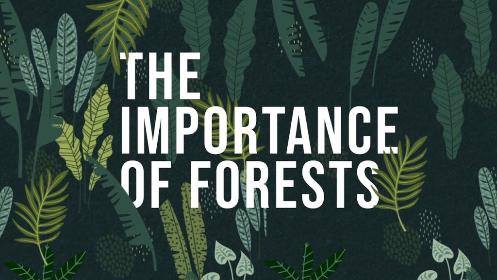 Unveiling the Magnificence and Importance of&nbsp;Forests