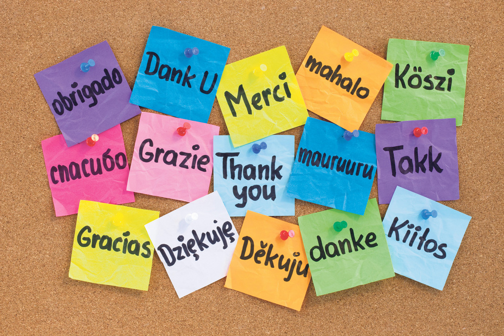 Unlocking the Power of Language: Bilingual Education for Young Learners