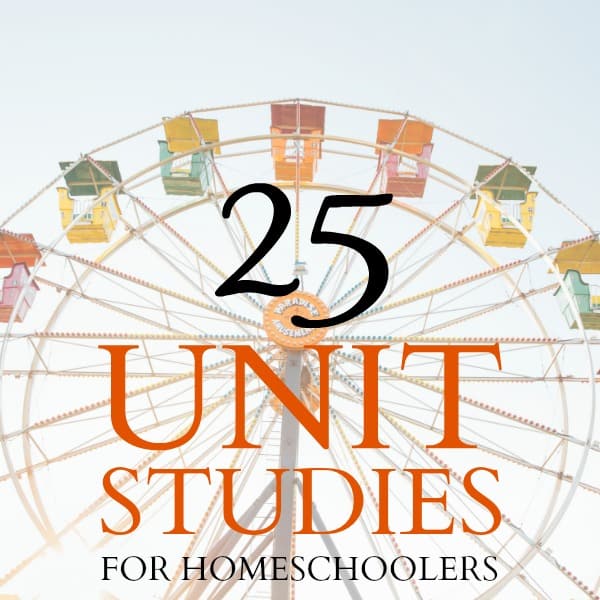 Unlocking the Power of Unit Studies: A Holistic Approach to&nbsp;Education