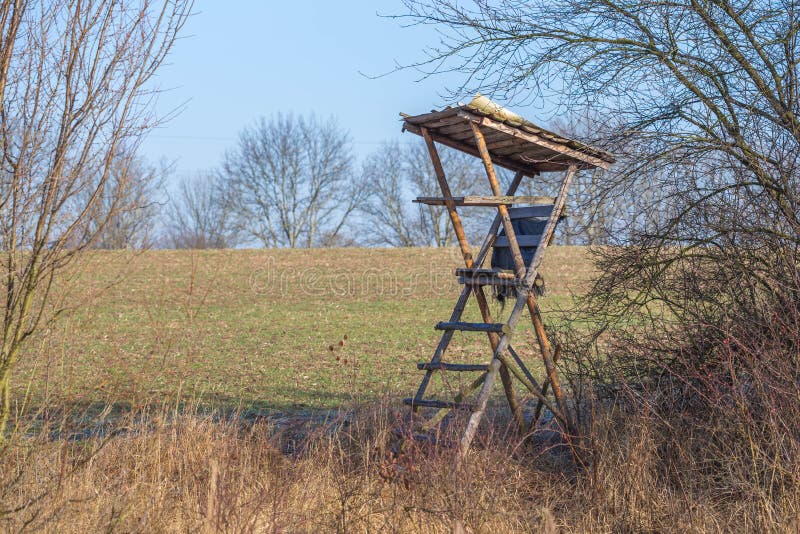 “Unlocking the Wonders of Wildlife: Incorporating Observation into Alternative Education”