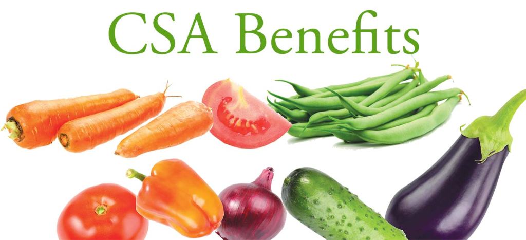 CSAs: Cultivating Sustainable Food Education and&nbsp;Connection