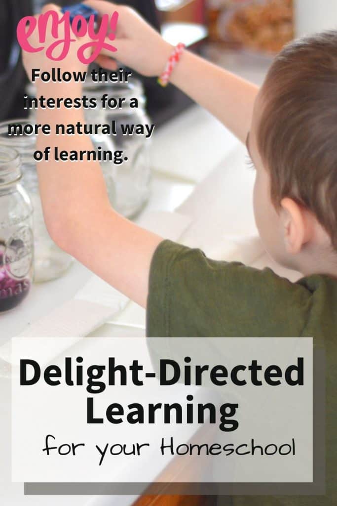 Empowering Students to Take Ownership of Their Education Through Delight-Directed Learning