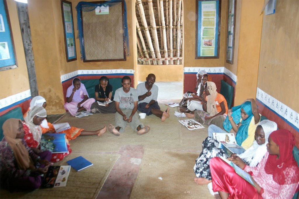 Island Paradises: Where Education Meets&nbsp;Adventure