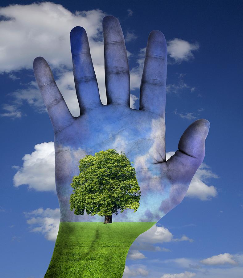 Empowering the Next Generation: Fostering Environmental Awareness in Children