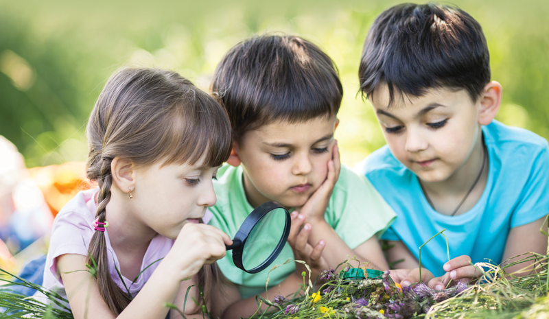 “Forest Schools: Unleashing the Power of Nature for Child Development”